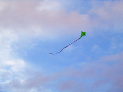 IMG_2778.JPG