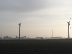 IMG_2785.JPG