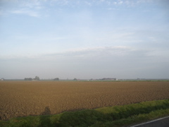 IMG_2786.JPG