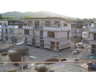 pic2
